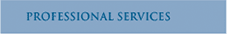 Professional Services
